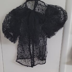 Haute Monde Black Sheer Polka Dot Blouse